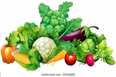 Vegetables
